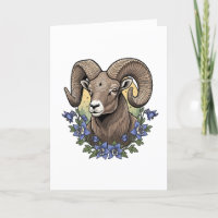 Bighorn Sheep With Blue Colorado Columbine Flowers