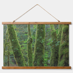 Bigleaf Maple Trees & Ferns Washington State Hanging Tapestry