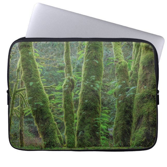 Bigleaf Maple Trees & Ferns | Washington State Laptop Sleeve (Front)
