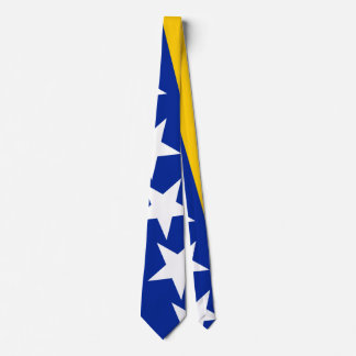 BiH Flag Coaster Tie