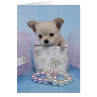 Bijoux