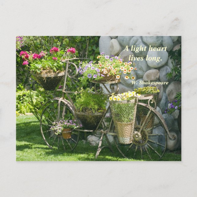 Bike with flowers postcard (Front)