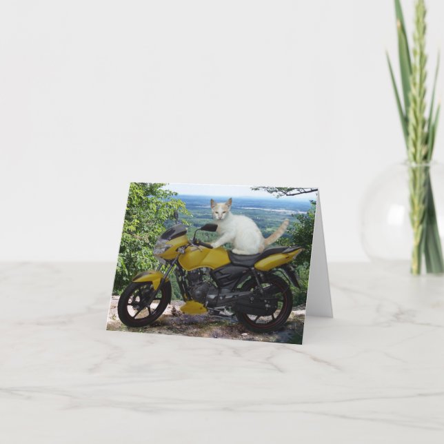 Biker Cat Notecard (Front)