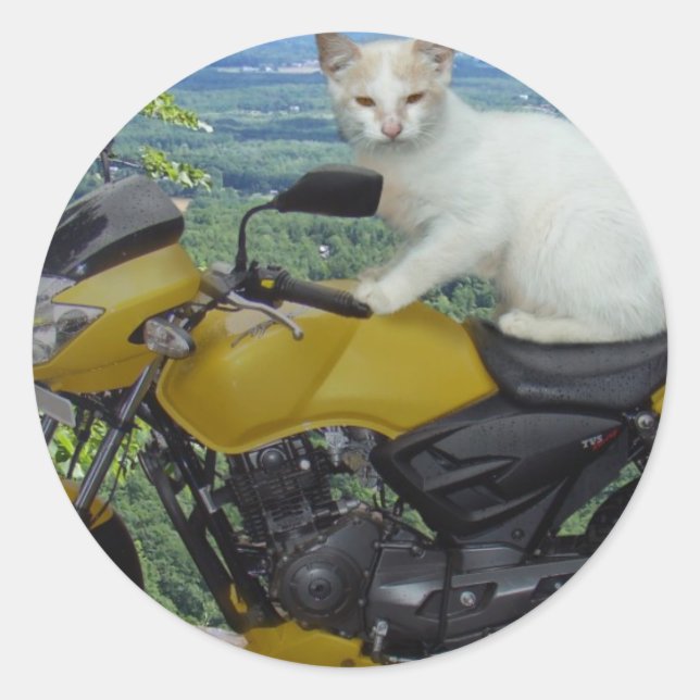 Biker Cat Sticker (Front)