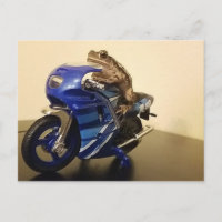 Biker Toad
