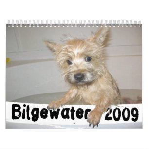 Bilgewater Calendar
