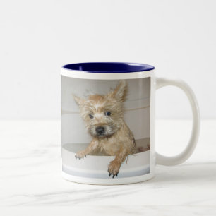 Bilgewater Two-Tone Coffee Mug