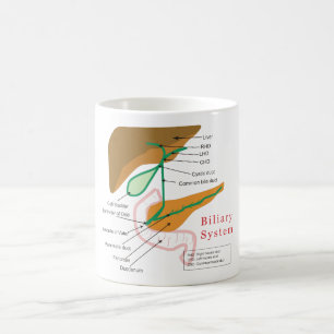 Biliary System Diagram Chart Bile Duct Coffee Mug