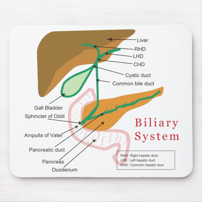 Biliary System Diagram Chart Bile Duct Mouse Mat (Front)