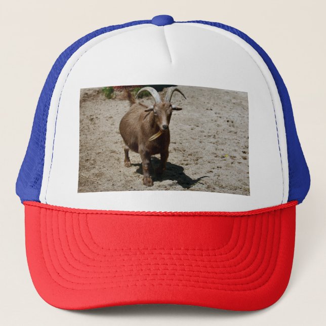 Bill Trucker Hat (Front)