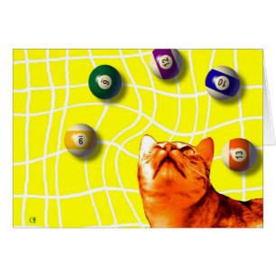 Billiards Cat Card
