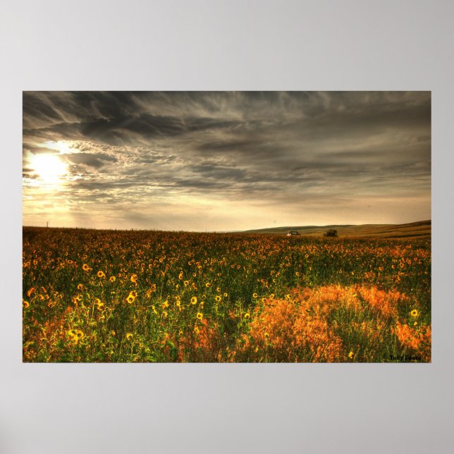 Bill's Flower Field Poster (Front)