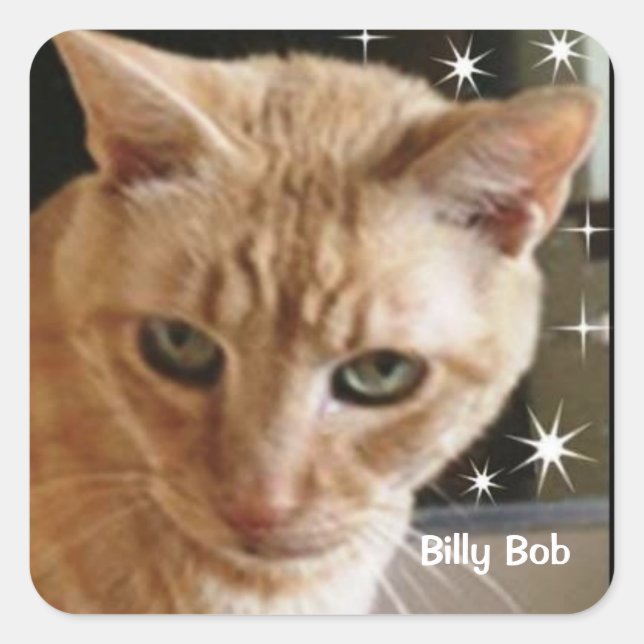 BILLY BOBCAT THORNTON STICKER (Front)