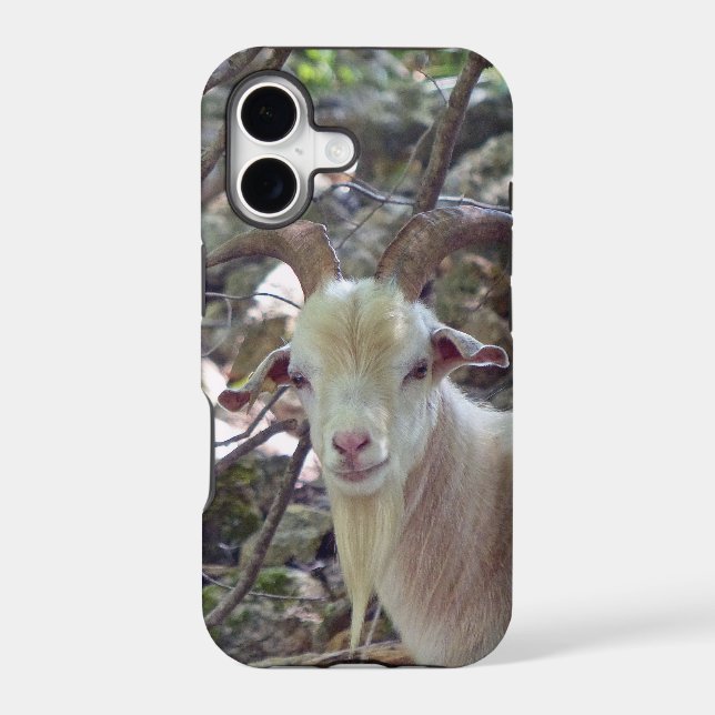 Billy Goat (Back)