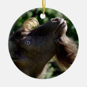 Billy Goat Ceramic Tree Decoration