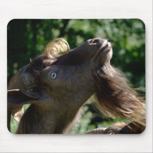 Billy Goat Mouse Mat