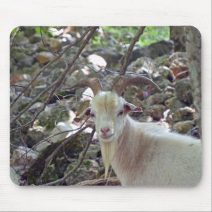 Billy Goat Mouse Mat