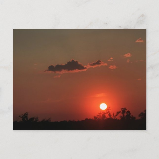 Biloxi Sunset Postcard (Front)