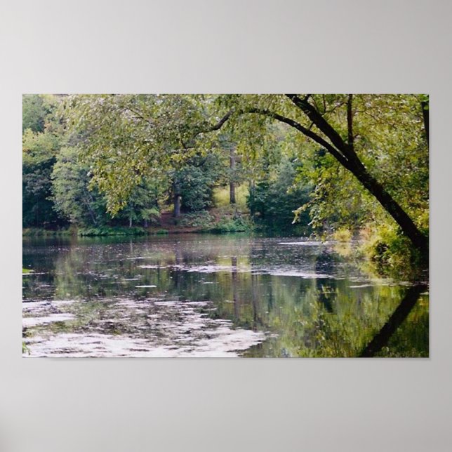 biltmore lake poster (Front)