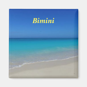 Bimini magnet