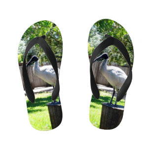 Bin Chicken (iBIS)  Kids Flip Flops