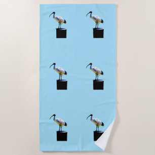 Bin Chicken, (Ibis) Oil Paint, Beach Towel