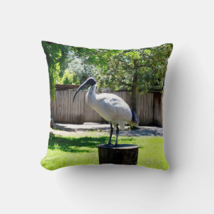 Bin Chicken (ibis) On A Tree Stump, Cushion