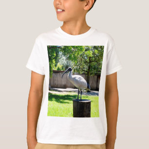 Bin Chicken (ibis) On A Tree Stump,   T-Shirt