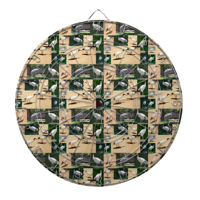 Bin Chicken (Ibis) Photo Collage, Dartboard (Front)