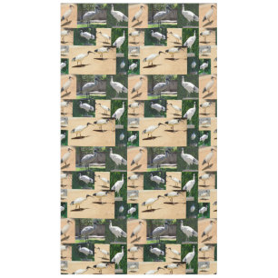 Bin Chicken (Ibis) Photo Collage, Tablecloth