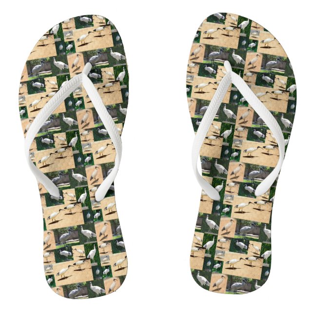 Bin Chicken Photo Collage, Flip Flops (Footbed)