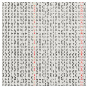 Binary Code Computer Engineer Fabric
