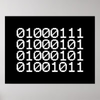 BINARY GEEK