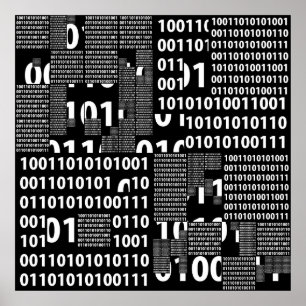Binary in Black & White Poster