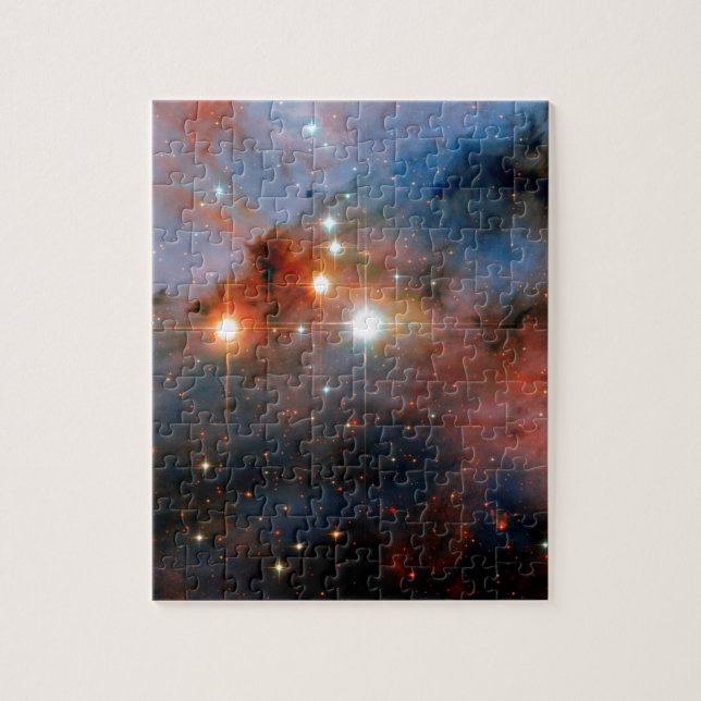 Binary Stars WR 25 & Tr16-244 - Hubble Space Photo Jigsaw Puzzle (Vertical)