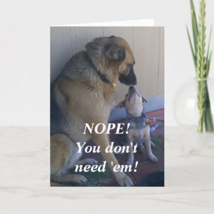 Binders Full of Women Guy's Birthday Card