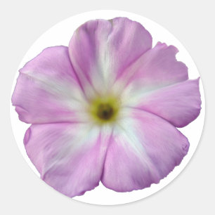 Bindweed #1 classic round sticker