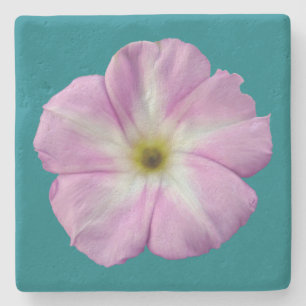 Bindweed #1 stone coaster