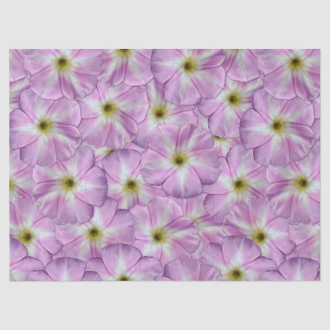 Bindweed Seamless Pattern Tissue Paper (Front)