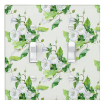 Bindweed white flower