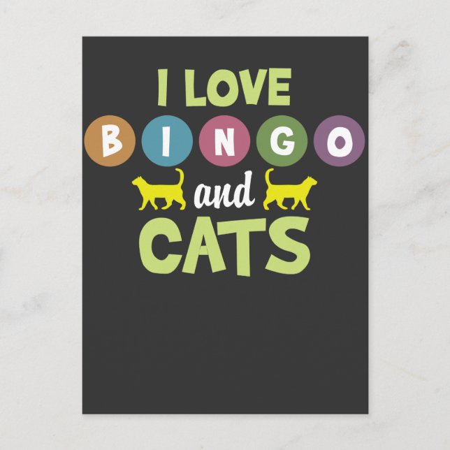 Bingo And Cats Funny Kitten Animal Pet Lovers Postcard (Front)