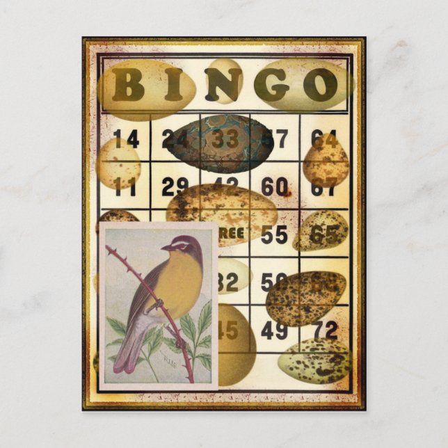 Bingo Bird Postcard (Front)