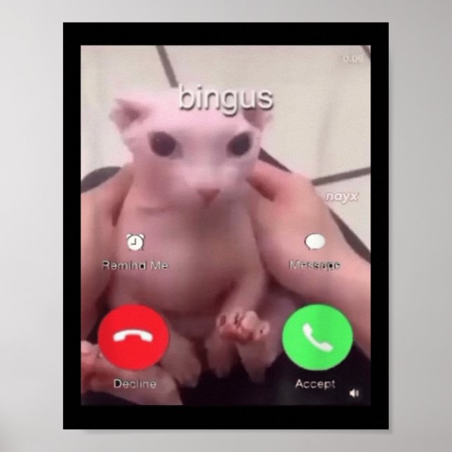 Bingus Is Calling Hairless Sphinx Cat Bingus Cat M Poster (Front)