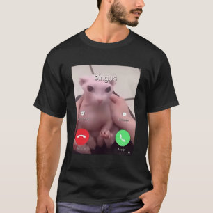 Bingus Is Calling My Beloved Hairless Sphinx Cat T-Shirt