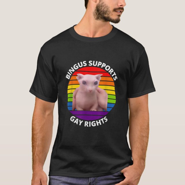 Bingus Supports Gay Rights Hairless Sphinx Bingus  T-Shirt (Front)