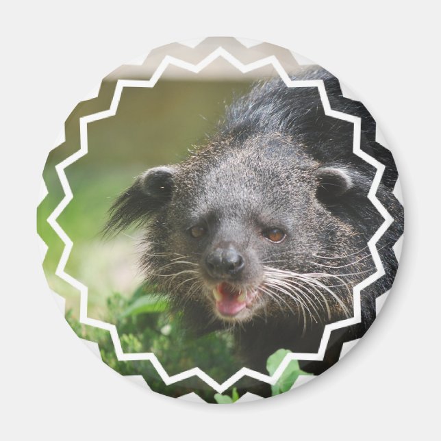 Binturong Magnet (Front)