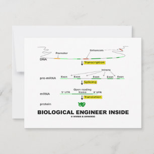 Biological Engineer Inside