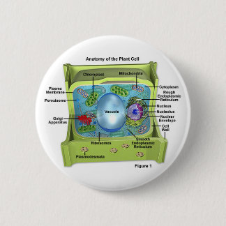 Biology 6 Cm Round Badge
