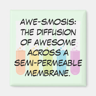 Biology & Chemistry Teachers: Science is Awesome Magnet