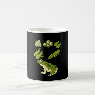 Biology - Frog Lifecycle Coffee Mug